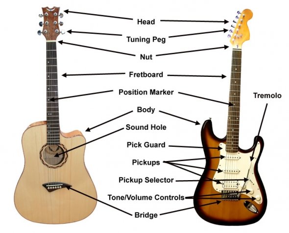 guitar anatomy